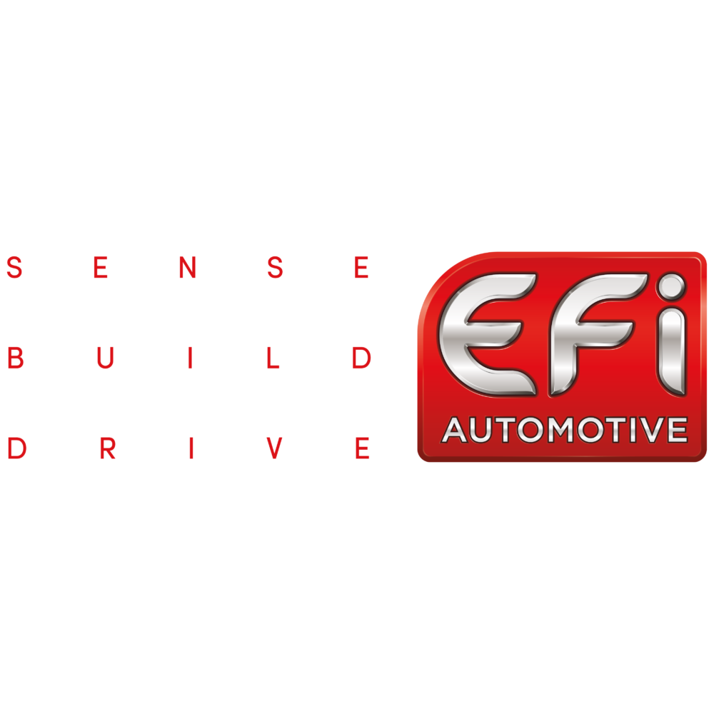 Logo EFI