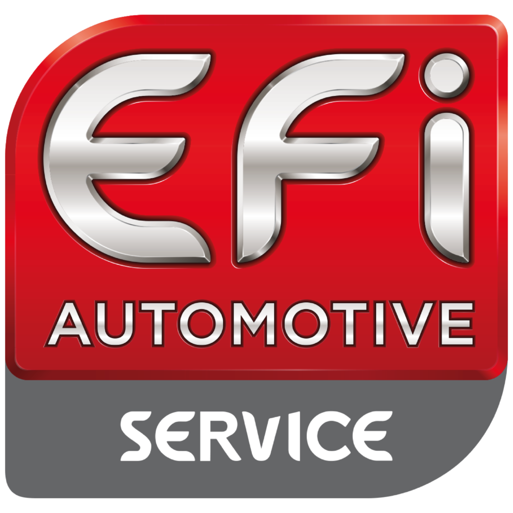 Logo EFIS